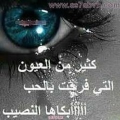 محمد عيسي هدهود