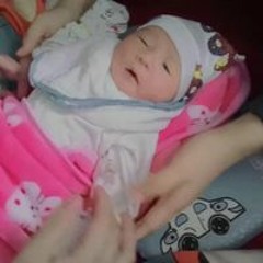 Lưu Hiến