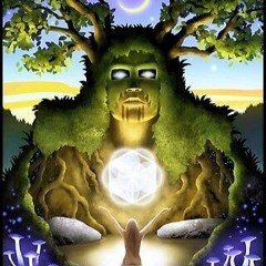 The Psychedelic Shaman 2025