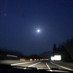 Madonna Polpo Melmosa