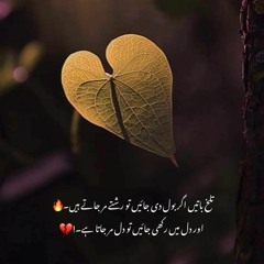 Binte Aabis