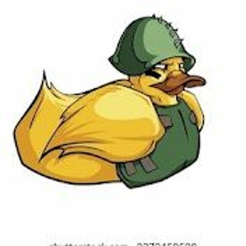 Duck Army’s avatar