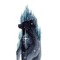 Spirit Horse