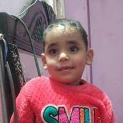 أبو عمر النجار