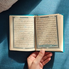 أرْوَى.