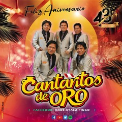 VIDITA MIA - CANTARITOS DE ORO (2021)