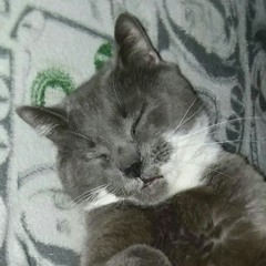 smokey