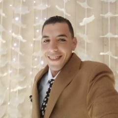 Mohamed Ashmawy