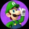 Luigi Lover