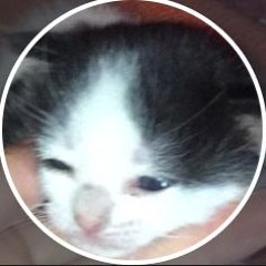 SUKO_P4I