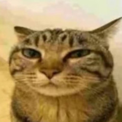 _vxcn_