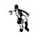 KING VOID