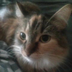 Enter Axis - Undertale Yellow Remix