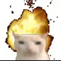 Dreampinguin321