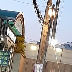푸른빛으로