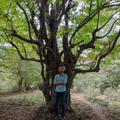 mehrdad