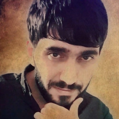Qara Ahmedoglu’s avatar