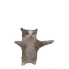 TUXXIDO