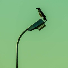 Boris Stoersender