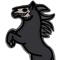 Thewelshponya