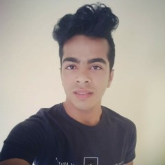 mostafa ibrahim