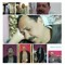 هانى حسنى