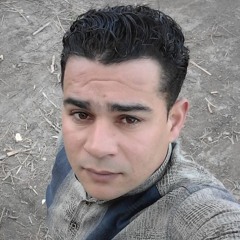Mohamed Aboelmaaty