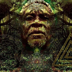 Mr.Paradox