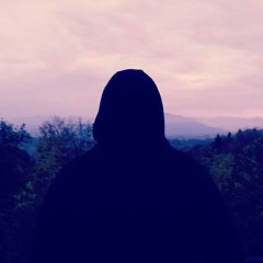 Sinn_Frei