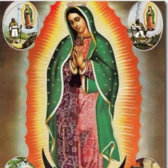 ♡Antonio De Jesus💎💎💎🇬🇹🇲🇽