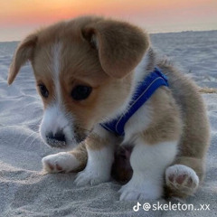 Marley
