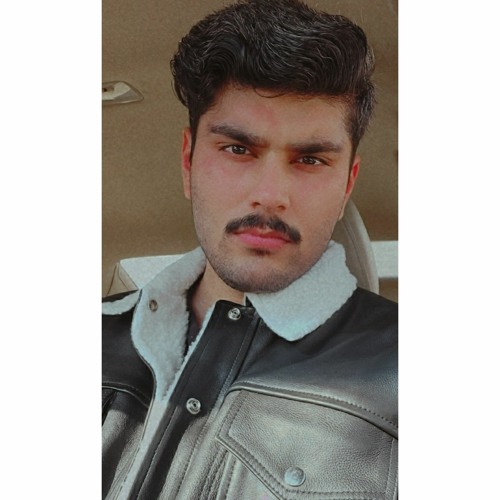 Shah Oussama Sarwar’s avatar