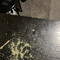 CxsX