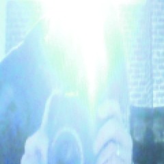 Rodz