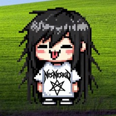 NESNESKID