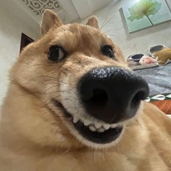 Lê Vân