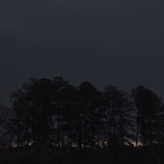 kayneverfold💰💰