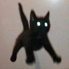 Vëry_Gæy_Përßœñ