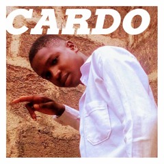 Cardo Vt