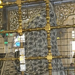 دينا الشاذلي🦋