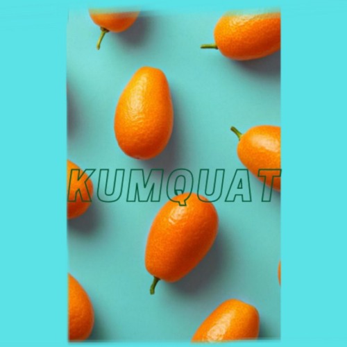 Stream Kumquat Official Listen to podcast episodes online for free on