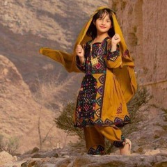 Bahar Pul A Mana Zemestan Shabir Sayad New Balochi Song 2021 ( 720 X 1280 50fps )