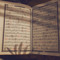 Isra'a Sous