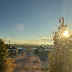 비비안 마르테렐라