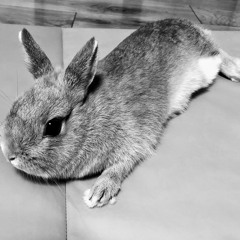 hiru
