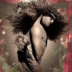 dj milieugeschädigt