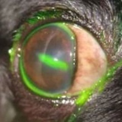 ঔৣஓீ322⨥⨢⨥⨢⨥⨢⨥⨢⨥⨢⨥⨢∑∫ёØɾႬª⨢⨥⨢⨥⨢⨥⨢⨥⨢⨥⨢⨥422ༀৡ