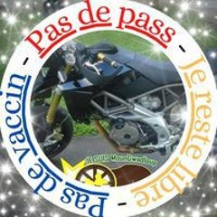 Speed Gonzales #Rapid