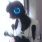 riori