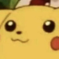 Miguel Bravo Esteban